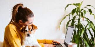 The power of pets: 9 in 10 remote workers say pets improve their mental health and reduce work-related stress image001 2