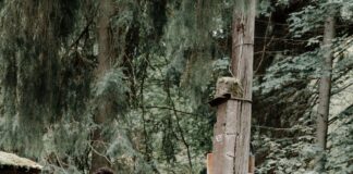 One in four people in Wales are scared of demons, according to Halloween survey pexels cottonbro studio 5435452