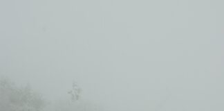 Driving in UK Snow: Challenges for Fuel and EV Cars pexels kubra zehra 15819230