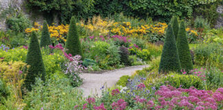 Aberglasney Gardens delighted to win 2023 Trip advisor Travellers’ Choice Award upper walled garden Aberglasney 2199 Nigel McCall