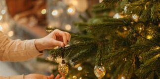 Seven signs of a healthy Christmas treexmas tree 41a1eb79 3b8a 4487 8da3 3d90d44898a5 1
