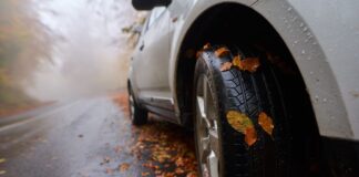 Drivers warned over common autumn hazards 722924a1 5821 43ee 8fca aad056312567