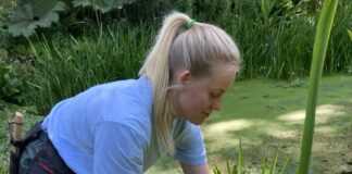 Aberglasney welcomes new batch of students to learn and work at the gardens Beth Large Aberglasney student 2023 min min scaled