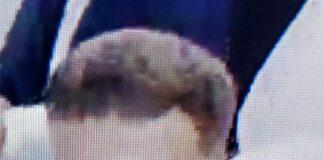 Police appeal following incident in Carmarthen Carmarthen CCTV ID 27.10.23