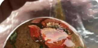 CHARITY ASKS THE PUBLIC TO PAINT A POPPY PEBBLE TO MARK REMEMBRANCE Poppy Pebbles 1