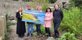 Local groups awarded grants to boost biodiversity and climate SMALLEsteam