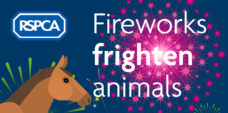 Welsh councils back RSPCA’s campaign to head off fireworks fears Untitled