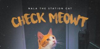 Viral Sensation, Nala the Station Cat’s Christmas Anthem Aims to Take the UK by Storm! ab67616d0000b2732d240bccef6251ad9b53cb0a