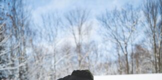 How to prevent slippery surfaces in your outdoor space this winter filip mroz TDiWmXb9 qk unsplash scaled