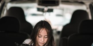 Dogs Can Detect Sleepy and Unwell Drivers: Know the Warning Signs pexels arthouse studio 4592071