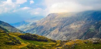 Letter to the Editor – CPRW wales 1904310 1280 1