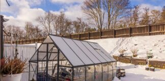 How to keep your greenhouse warm this winter 659afdea 89f0 4aa9 9541 e35bcaa06a03