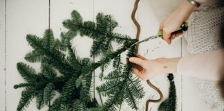 How to reuse your Christmas tree 7a27519e a778 46b2 a5c1 1ab4b72d331b