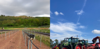 Grant Cynllun Datblygu Garddwriaeth yn helpu tyfwyr yng Nghymru i ddod yn fwy effeithlon Andy Mathews and Tom Rees have improved efficiency through a grant scheme