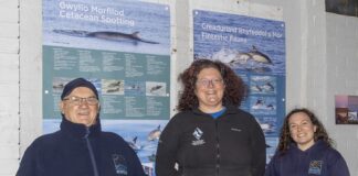 Striking new panels go on display at Strumble Head Ken Barnett Rhowan Alleyne Holly Dunn 002 scaled