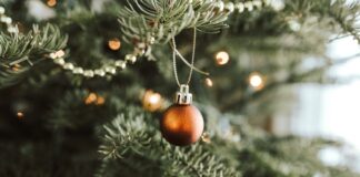 Vacuum-alternative hacks to remove Christmas tree pine needles from carpets Untitled