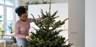 How to keep your Christmas tree looking healthy a6666d9c 59eb 4919 8264 3ac70b6aabce