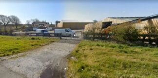 Craft Market Backed g wedlock 2