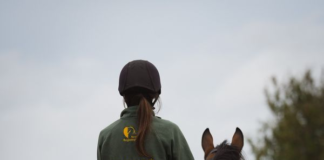 FINAL CHANCE FOR THOROUGHBRED OWNERS TO COMPLETE INAUGRAL CENSUS image