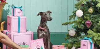 Bill’s launches festive menu for dogs across restaurants nationwide image002 2