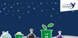Changes to bin collections in Carmarthenshire over Christmas microsoftteams image 330