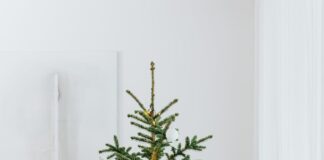 Barnardo’s Cymru provides a solution for those unsuitable Christmas gifts pexels karolina grabowska 5469811