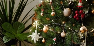 Lightsabers, snow globes and magic 8-balls – these are the gifts you can’t take on a plane says expert pexels ngan duong 19319728