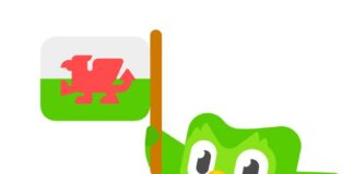 New data reveals Welsh hits 3 million learners on Duolingo start learning welsh