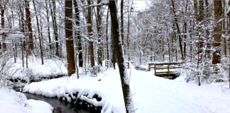 UK Snow Bomb Weather Warning as Drivers Could Face Thousands in Fines 20190114 Virginia USA