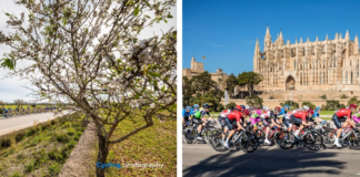 Experience 365 days of sport in Mallorca 3ca31ce98aa5c61b7f61dc34eed693f2adaa1d2a