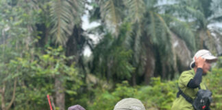 There’s a future for palm oil in the dairy supply chain, but sustainable sourcing matters Cat Barton Chester Zoo @300 scaled