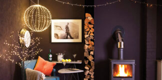 HETAS HOT TIP OF THE WEEK ChilliPenguin Penguin 7 01