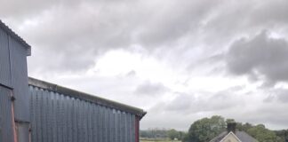 Rhaglen trosglwyddo gwybodaeth yn rhoi dealltwriaeth werthfawr i ffermwyr ifanc ynglŷn â chynhyrchu moch Gaining valuable knowledge on pig production and management through Farming Connect training programme scaled