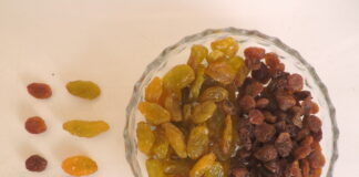 The common diet foods DEADLY for dogs Golden Jumbo Raisins comparison