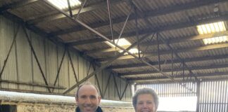 Mae gwneud y defnydd gorau o borthiant yn y dogn i famogiaid cyfeb yn caniatáu defnyddio cyn lleied â phosibl o atchwanegiadau Jack Foulkes and Kate Phillips scaled