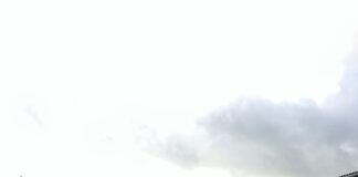 Knowledge transfer gives young farmers a valuable understanding of pig production Masterclass training session with Young Farmers Club members at Cefn Coch Ffarm Rhaglan scaled