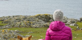 Walk Your Dog Month: the 6 best dog-friendly Wales Coast Path walks — as told by the dogs of Wales image002 3