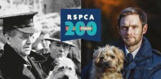 More than 17,000 animals rehomed by the RSPCA across Wales in last decade image1