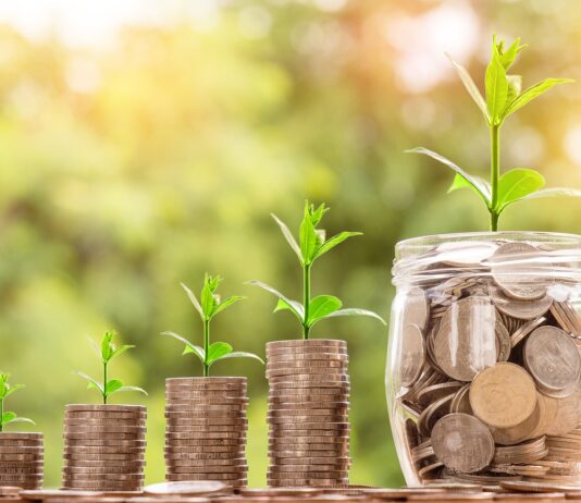 Plaid Cymru Steps Up for Ammanford: Fighting for Banking Hub After Lloyds Exit money 2724241 1280