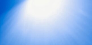 Small businesses must adopt AI to compete in 2024 pexels tara winstead 8386364