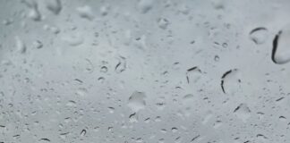 How to drive safely in Storm Henk pexels valeriia miller 2633046