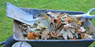 Here are the jobs you should be doing in the garden wheelbarrow 3794784 1280