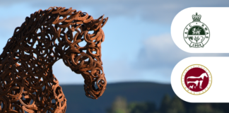 RWAS Rural Leadership Programme application window now open 17a7ac0b 2201 e4cf 9d66 e44325a24d92