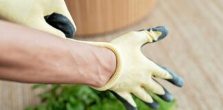 10 gardening jobs for February 6e611b88 7400 44e7 b27c 50970c1afc45 1