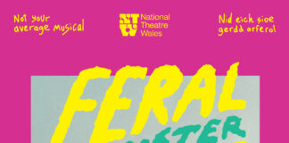 Local star Carys Eleri to perform at Ffwrnes for the first time Feral Monster artwork