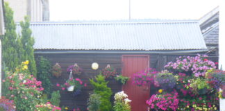 RHS announces Britain in Bloom finalists for 2024 Fochabers in Bloom geograph.org .uk 2549768