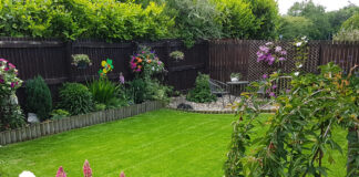 Ready steady mow and sow! Johnsons Lawn Seed’s ultimate guide to spring lawn care Get the Lawn of your dreams with Johnsons Lawn Seed cropped