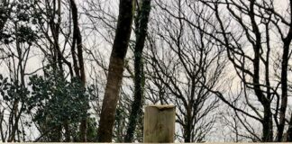 Monkstone beach access to remain closed due to safety concerns Monkstone Path Closure