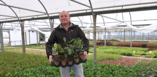 Cyrsiau sgiliau Cyswllt Ffermio yn allweddol i ddatblygiad staff mewn busnes garddwriaeth Neil Alcock scaled