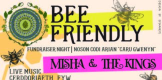 Bee Friendly Fundraiser Night Poster A4